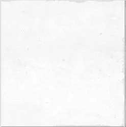 NANDA TILES Carrelage Imitation Ciment FLORA AMENA WHITE - 15x15 - 0,5 M²