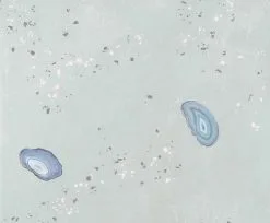 Apavisa GEODAS GREEN 50X100 - 1,486 M²